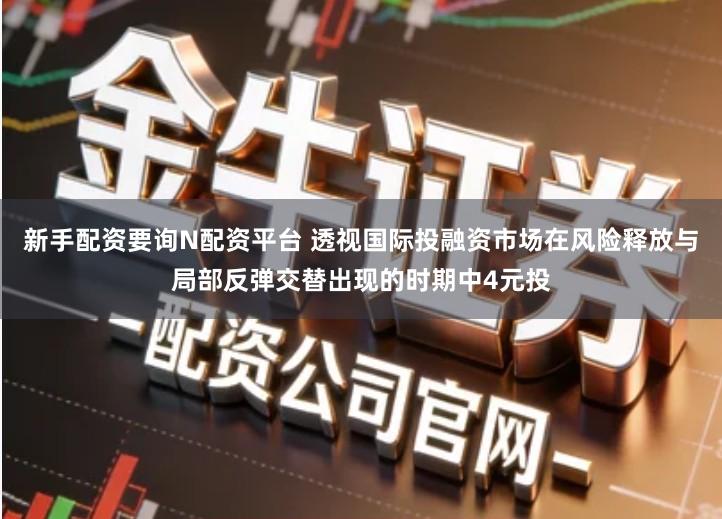 新手配资要询N配资平台 透视国际投融资市场在风险释放与局部反弹交替出现的时期中4元投