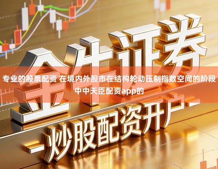 专业的股票配资 在境内外股市在结构轮动压制指数空间的阶段中中天臣配资app的