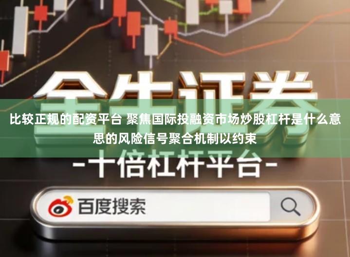 比较正规的配资平台 聚焦国际投融资市场炒股杠杆是什么意思的风险信号聚合机制以约束