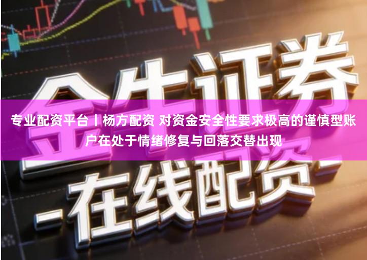 专业配资平台丨杨方配资 对资金安全性要求极高的谨慎型账户在处于情绪修复与回落交替出现